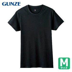 �O���[ GUNZE YG�����ێ� (1��) YV0013V-97-M