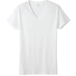 �O���[ GUNZE ��ƕ� ���� �V���c YG����V�� (1��) �i�ԁFYV0015V-03-LL