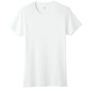 �O���[ GUNZE ��ƕ� ���� �V���c YG�����ێ� (1��) �i�ԁFYV0013V-03-LL