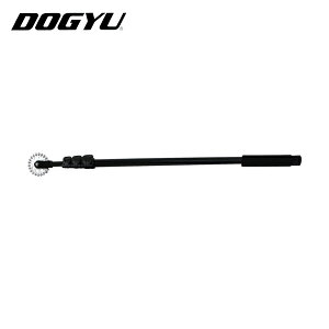 yY DOGYU RʐLkŐf_ BLDR|2000 (1{) iԁF02749