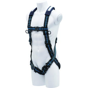 z KH tn[lX ΂Xgb` XV^ (1{) iԁFFXVGBL-L2