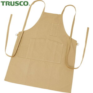 gXR TRUSCO ƗpGv LoXGv ^Cv x[W (1) iԁFHEP-BE