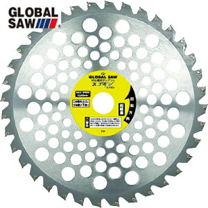 gL O[o\[ XSM @p (1) iԁFGSC-230-36