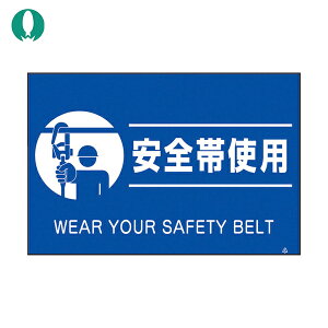 H[ SW uWuSюgpv (1) iԁFFS-81