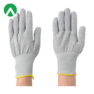 Ag Ǝ ϐؑn 13G XyNgK[h LL (1o) iԁFHG-77-LL