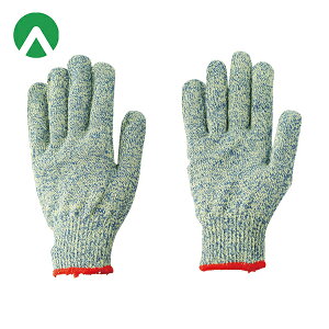 Ag Ǝ ϐؑn Pu[ 10G ES[ L (1o) iԁFHG-41-L