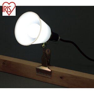 ACXI[} IRIS 569994 PROLEDS LEDNbvCghH^ i60`j (1) iԁFILW-85GBC3