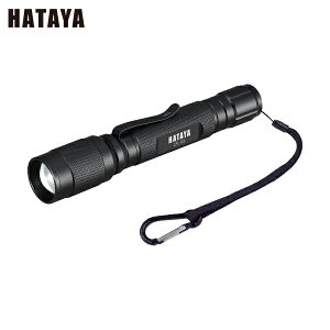 n^ LEDtbVCg (1) iԁFLFL-03