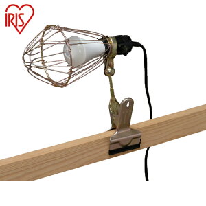 ACXI[} IRIS 228643 PROLEDS lZT[t^CvLEDNbvCg (1) iԁFILW-85GSC3