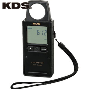 ebNKDS fW^Ɠxv133I (1) iԁFLM-133I