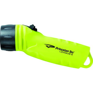 PRINCETON LEDCgLeague ZJh Neon CG[ (1) iԁFLG2NY