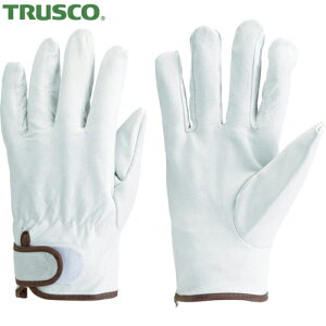 gXR TRUSCO Ǝ v }WbNܓؖ{v MTCY (1o) iԁFJK-717-M