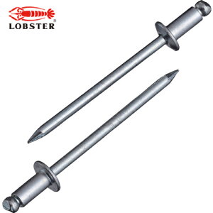 uebNX Gr uChxbgiXeB[/XeB[j 4-3i1000{j  (1) iԁFNS43