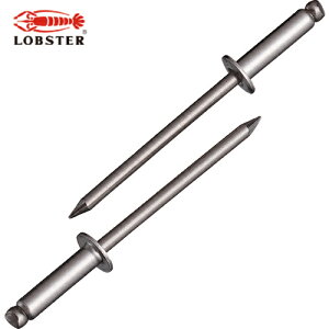 uebNX Gr uChxbgiXeX/XeXj 4-6i30{j GRpbN (1Pk) iԁFNST46MP