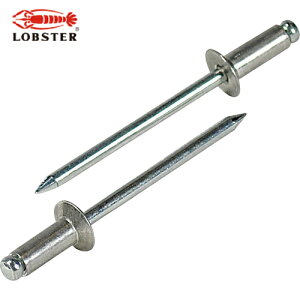 uebNX Gr uChxbgiMj A~jE/XeB[ 3-4i75{j GRpbN (1Pk) iԁFNSA34KMP