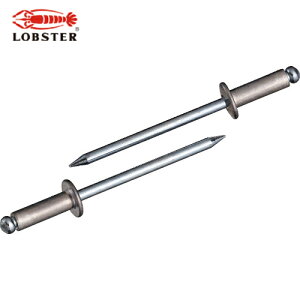 uebNX Gr uChxbgiA~jE/XeB[j 4-6i65{j GRpbN (1Pk) iԁFNSA46MP