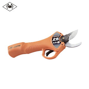 jVKLH ۃnfB[25i[djobe[E[dt (1) iԁFN928