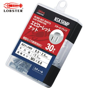uebNX Gr [bgibgiEX`[j GRpbN 2.5 M5X0.8i30j (1Pk) iԁFNSK5RMP
