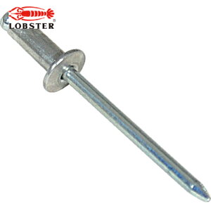 uebNX Gr uChxbgGRBOX A~/XeB[ 4-5 i300{j (1) iԁFNSA45EB