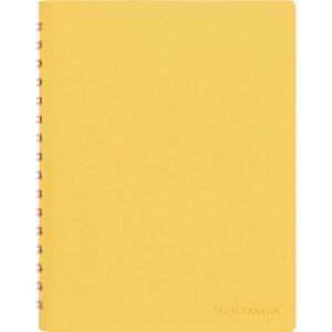 }} A6 m[g ZvgN[ CG[ (1) iԁFN769-04