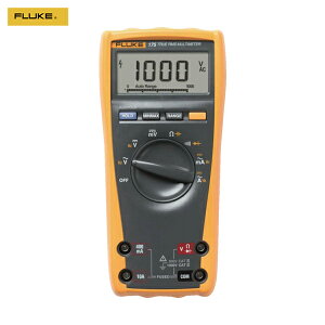 FLUKE t[N fW^E}`[^[i^̎lj (1) iԁF175