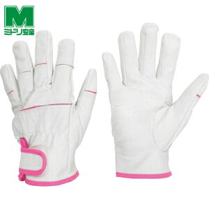 ~hS Ǝ pv MT|550 STCY (1o) iԁFMT-550-S