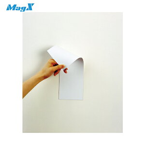 }OGbNX }OlbgʃJ[V[g (1) iԁFMSR-10WW