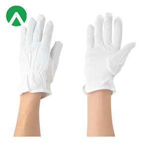 Ag XX Ǝ Ag^[{  5og M (1g) iԁF149-M-5P