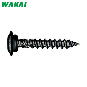 Y WAKAI pbLrX  4.3X27 (1) iԁFPS027RK