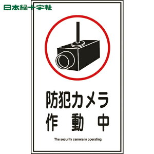 {Ώ\ SW CXgXebJ[W hƃJ쓮 \123 200×120mm 10g (1g) iԁF047123