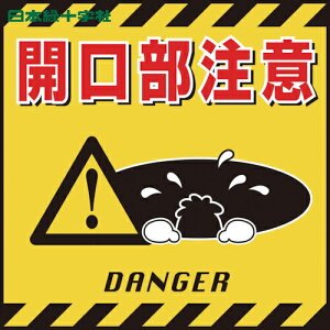 {Ώ\ SW ݂艺WpV[g J TS-6 430×430mm R[g (1) iԁF100006