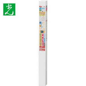  ȈՓt[[Zbg p uE (1S) iԁFPTB-B