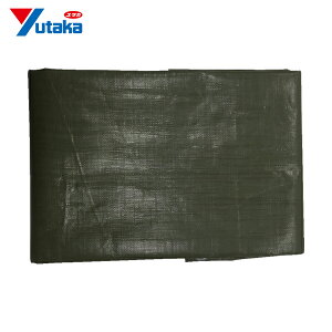 ^JCN #4000 ODO[V[g 3 1.8m×2.7m (1) iԁFOGS-402