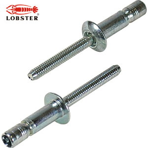 uebNX Gr xuChxbg S{giۓj 6.4/9.5mm i15{j (1Pk) iԁFSNS64095MP