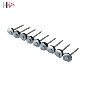 _Ch[ng gp XeXAPBp[XN[ 12×50 fn 9{×10A (1Pk) iԁF10176002