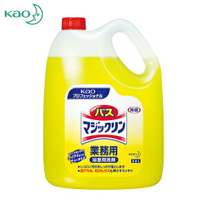 Kao ԉ p ƖpoX}WbN4.5L (1) iԁF021205