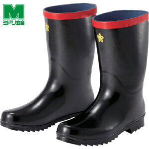 ~hS hdlC JISKii h~SC 24.5cm (1) iԁFSDNG-24.5