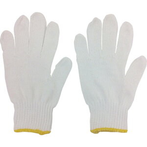 ~^j Ǝ R TKB-600 {SC (1g) iԁF202538