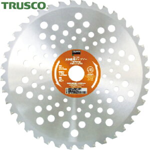 gXR TRUSCO `bv\[ n @p`bv\[ ʑp 255mm×25.4mm×40P (1) iԁFTBCJ-255