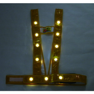 ~YPC ƕ SxXg LED^XL^SxXgułv S[h/LED (1) iԁF3020002
