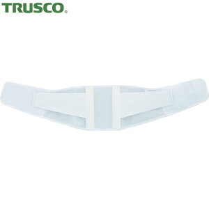 gXR TRUSCO [LOK[h p LTCY (1) iԁFTWG-L