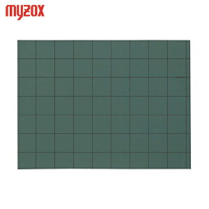 MYZOX }C]bNX ʐ^HpؐCS^CvW-9CS (1) iԁFW-9CS