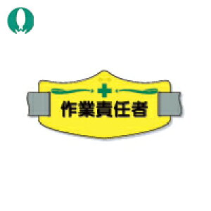  ƕ r eŕuƐӔCҁv V[gSoht (1) iԁFWE-12S