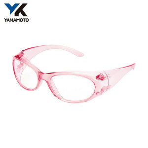 R{w `ی߂ (1) iԁFYS-210 LPIN