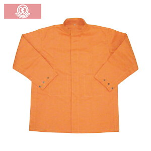 g nCubh ϔM ϐؑn ƕ 㒅 (1) iԁFYS-PW1M