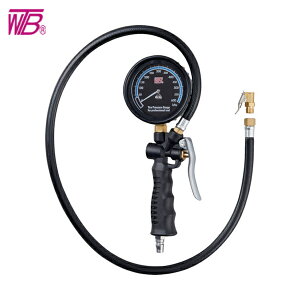 WTB ^CQ[W (1) iԁFWTG-610