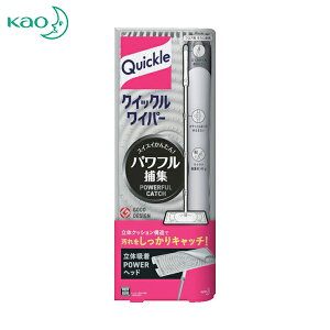 ԉ Kao bv NCbNCp[{ 1g (1{) iԁF262790