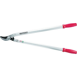 Berger 4200 (1) iԁF4200