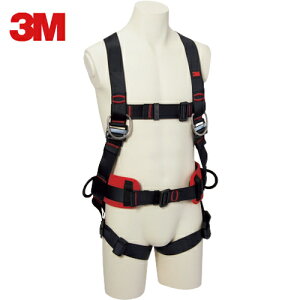 3M X[G veN^ tn[lX [N|WVjOp 1161651N STCY (1{) iԁF1161651N