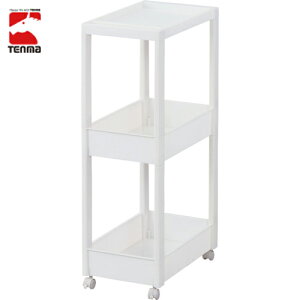 Vn TENMA FV XLs^S Ch3i W-002W (1) iԁF811000974